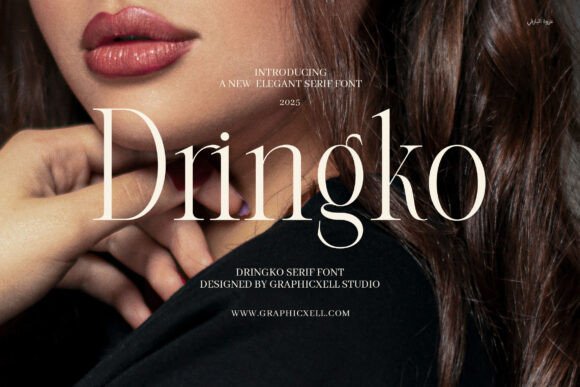 Dringko: Elegant Serif Font for Web Design